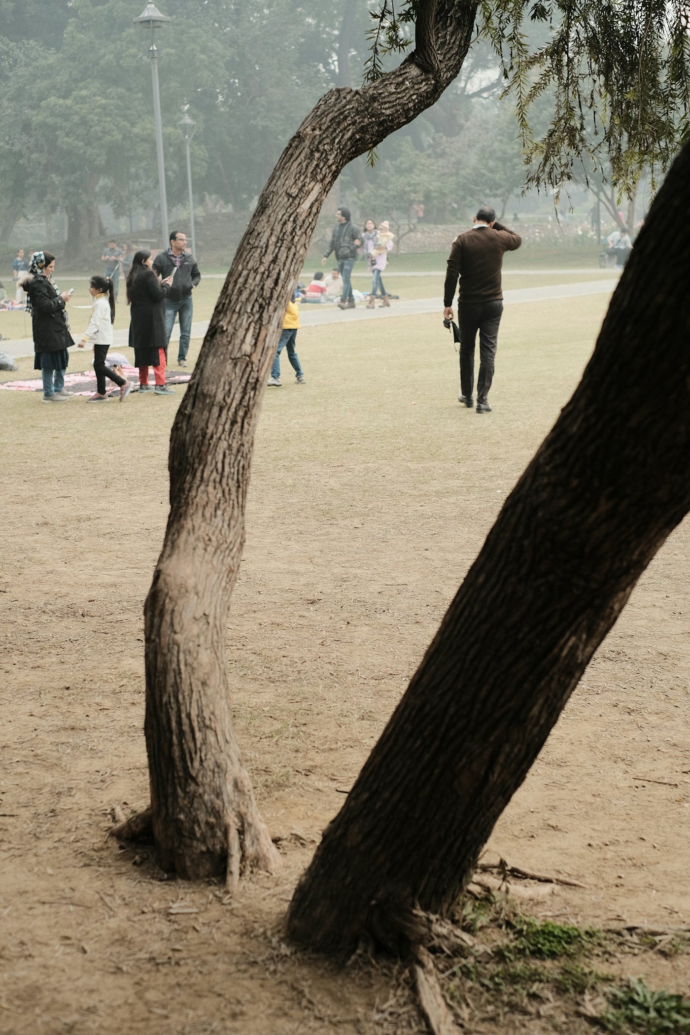Families in a Delhi park among mature trees on a hazy day