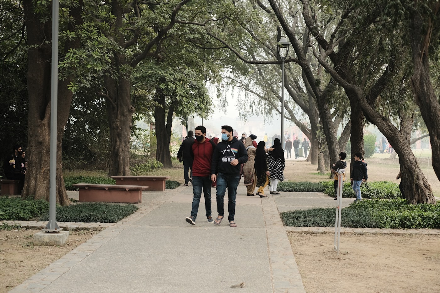 People walking in a Delhi park under mature trees on a hazy winter morning