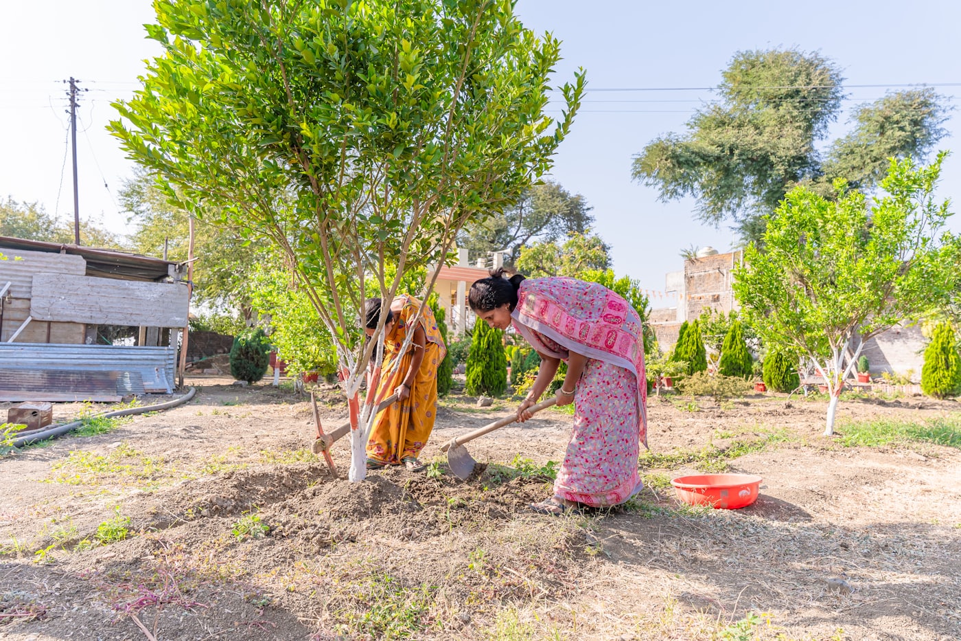 Two volunteers digging with a pickaxe and spade to plant a tree