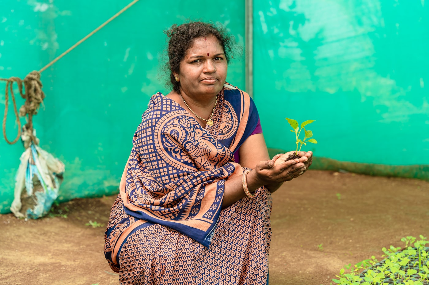 A woman kneeling and holding a young sapling ready for planting